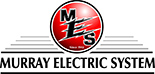 Murray Electric
