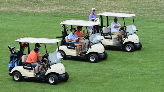 Three golf carts with players stopped on a fairway.