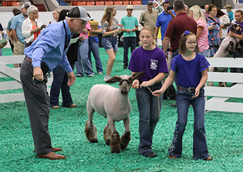 Partners show a lamb during the 2025 Sunshine Class at the Kentucky State Fair.